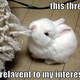 Illustration for article titled Open Thread: Friday is My Day!